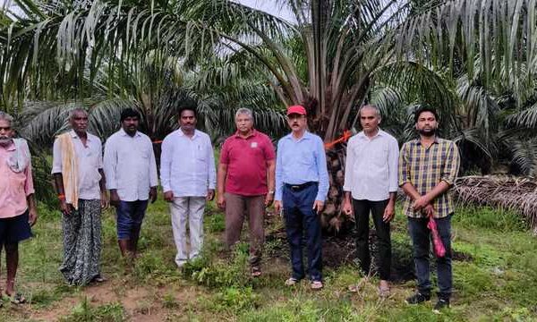 Oil Palm Supply Scamsters Face Crackdown