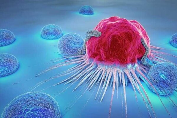Cancer Will End in Five Years – Medical Student’s Remark Captivates the World