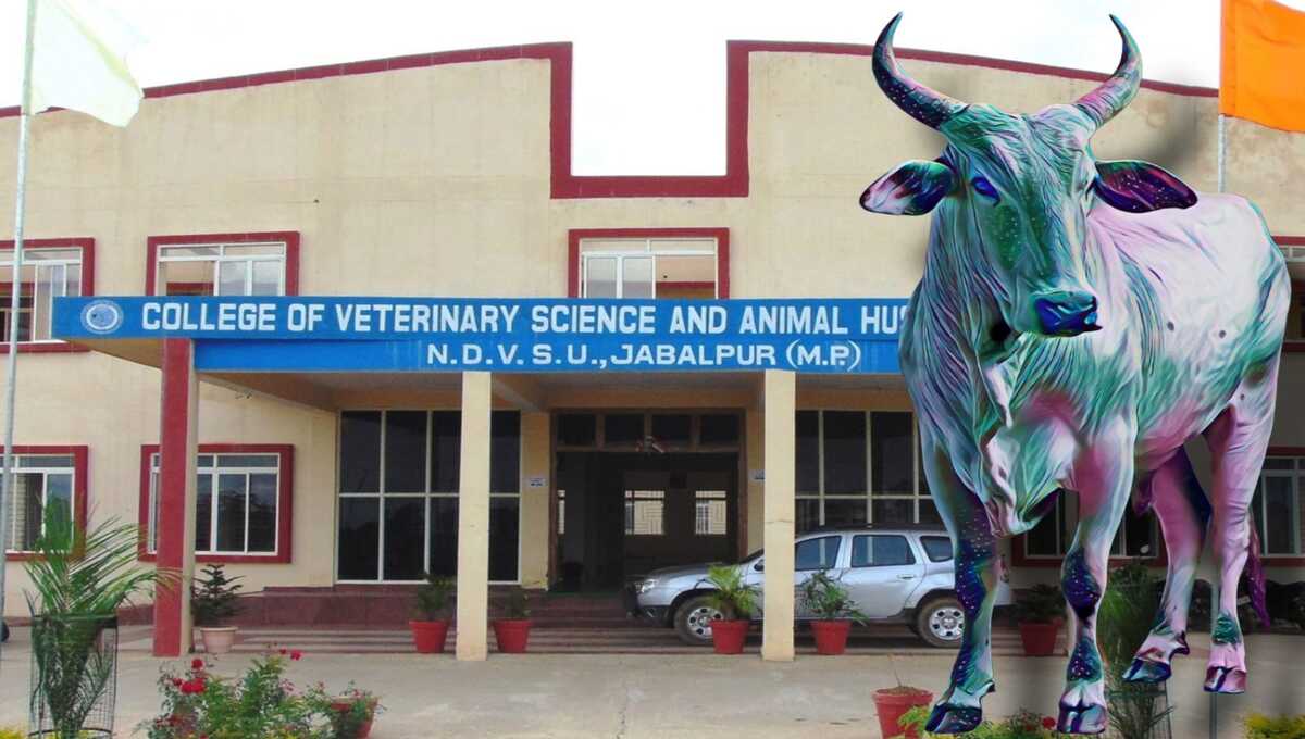 Cow Research Scam Jabalpur
