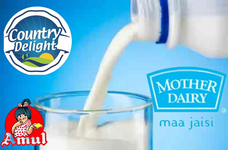 Bacteria in Branded Milk