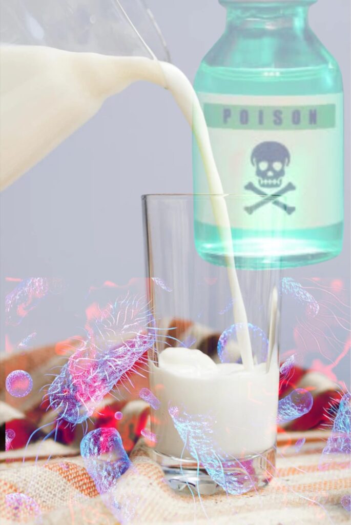Poisonous Bacteria in Branded Milk
